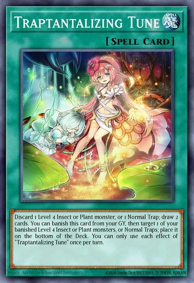 TRAPTRIX RAGNARAIKA