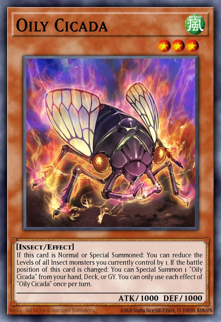 Oily Cicada