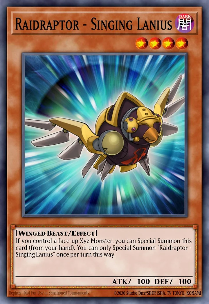 Raidraptor Singing Lanius