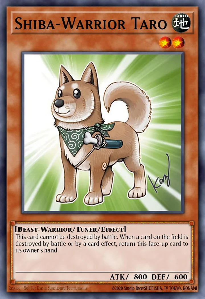 Shiba-Warrior Taro