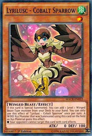 Lyrilusc Cobalt Sparrow