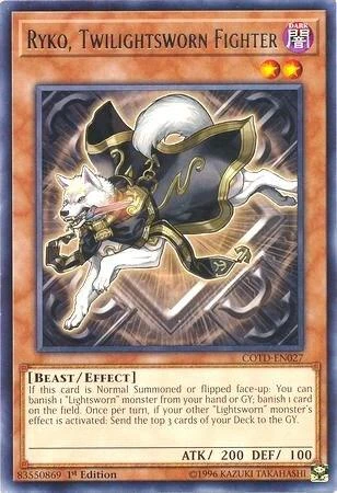 Ryko Twilightsworn Fighter