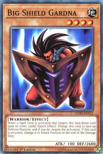 Big Shield Gardna