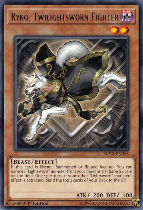 Ryko Twilightsworn Fighter