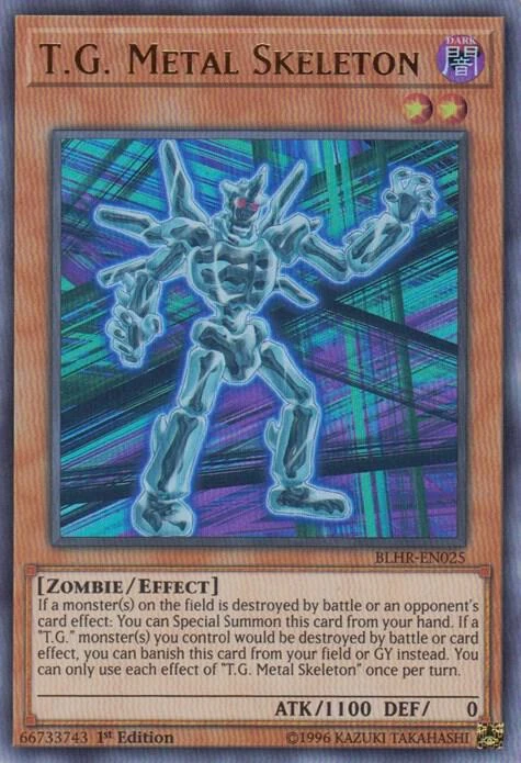 TG Metal Skeleton