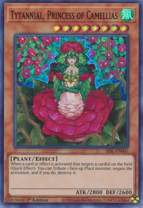Tytannial Princess of Camellias