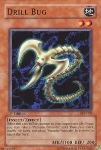 Drill Bug