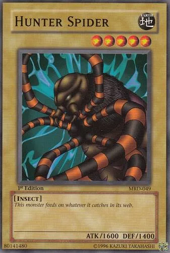 Hunter Spider