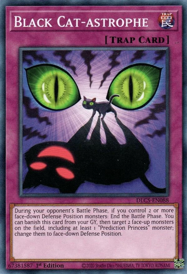 Black Cat astrophe