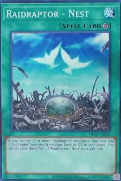 Raidraptor Nest