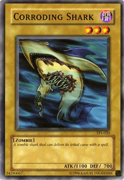 Corroding Shark