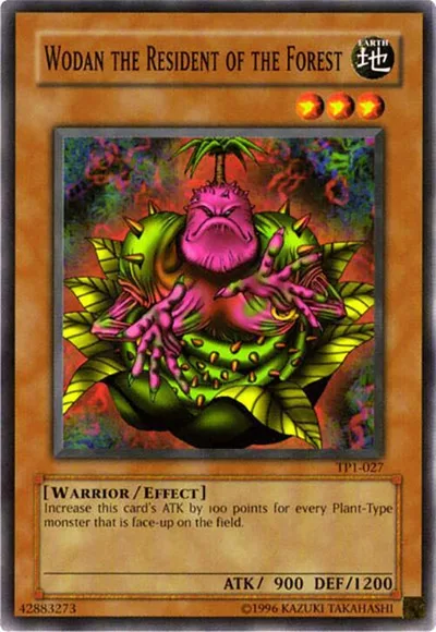 Wodan the Resident of the Forest