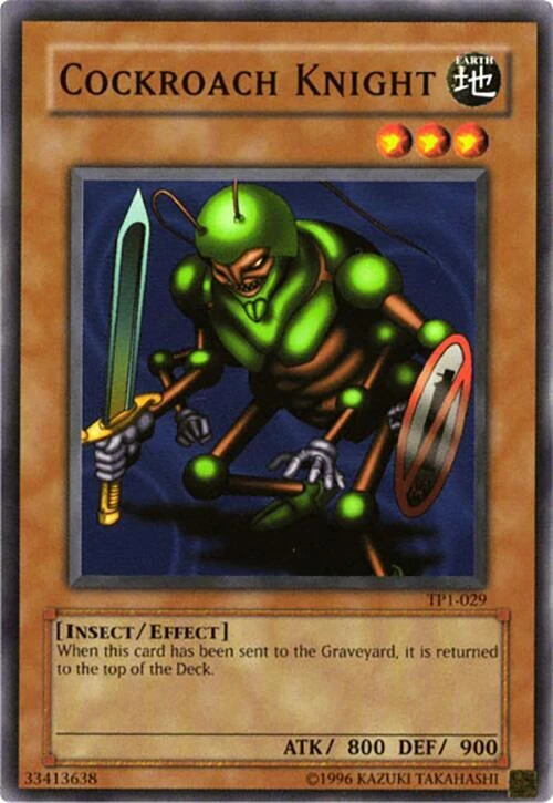 Cockroach Knight