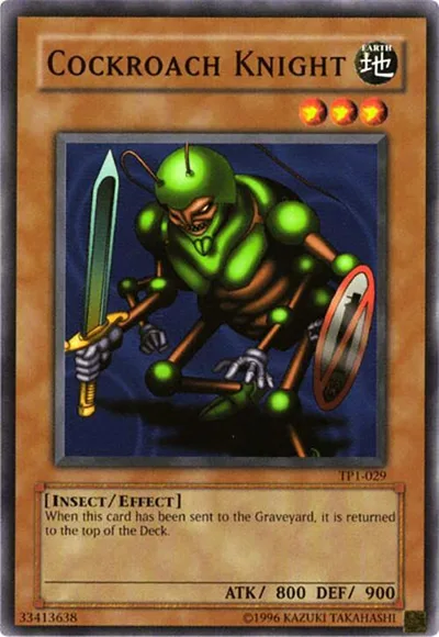 Cockroach Knight
