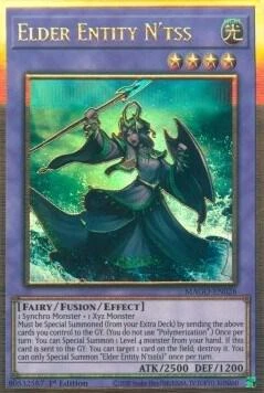Elder Entity Ntss