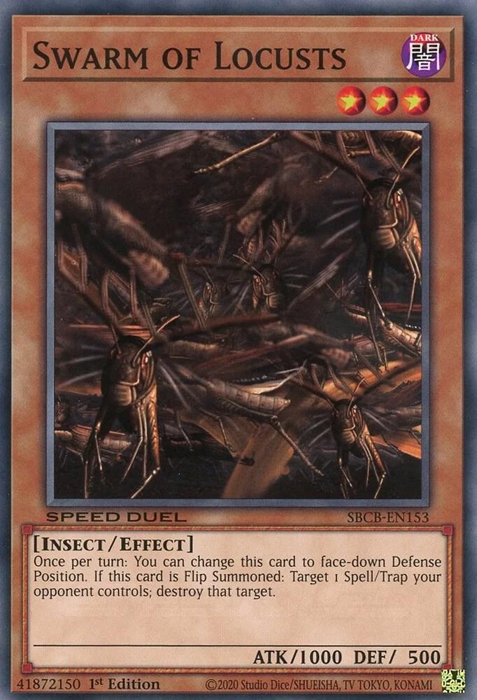 Swarm of Locusts