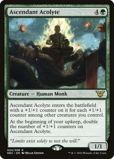 Ascendant Acolyte