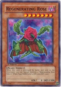 Regenerating Rose