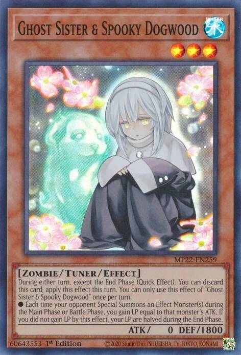 Ghost Sister and Spooky Dogwood