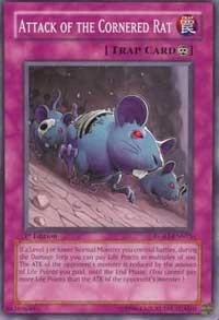 Attack of the Cornered Rat