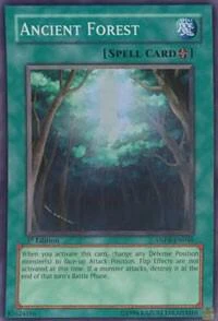 Ancient Forest