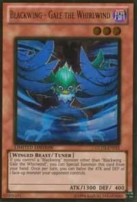 Blackwing Gale the Whirlwind