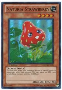 Naturia Strawberry