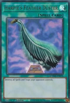 Harpies Feather Duster