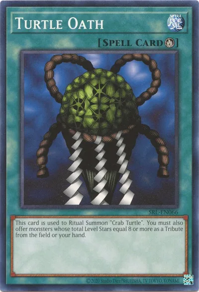 Turtle Oath
