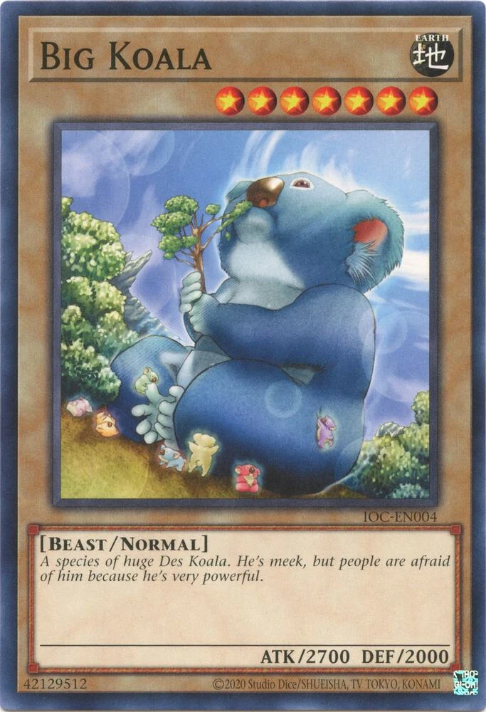Big Koala