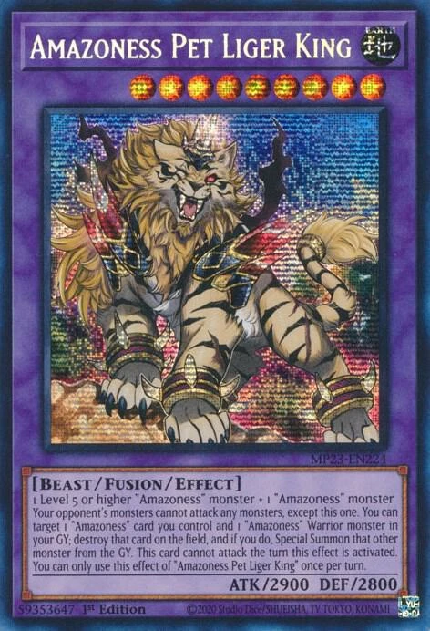 Amazoness Pet Liger King