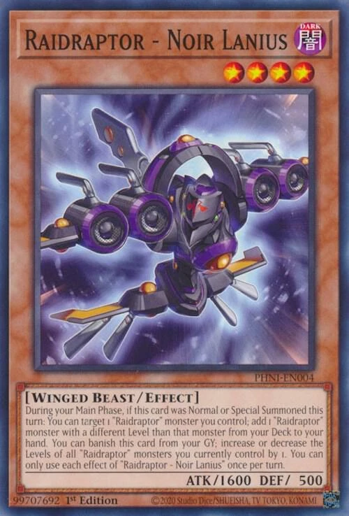 raidraptor noir lanius