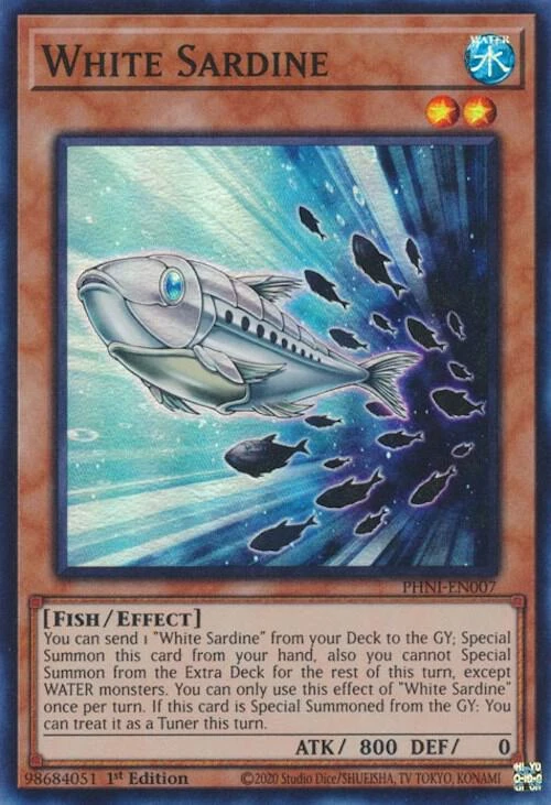 white sardine
