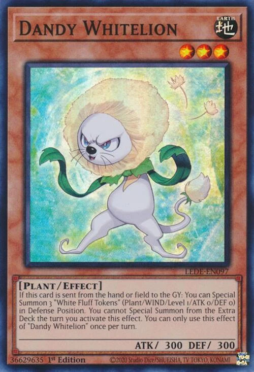 Dandy Whitelion