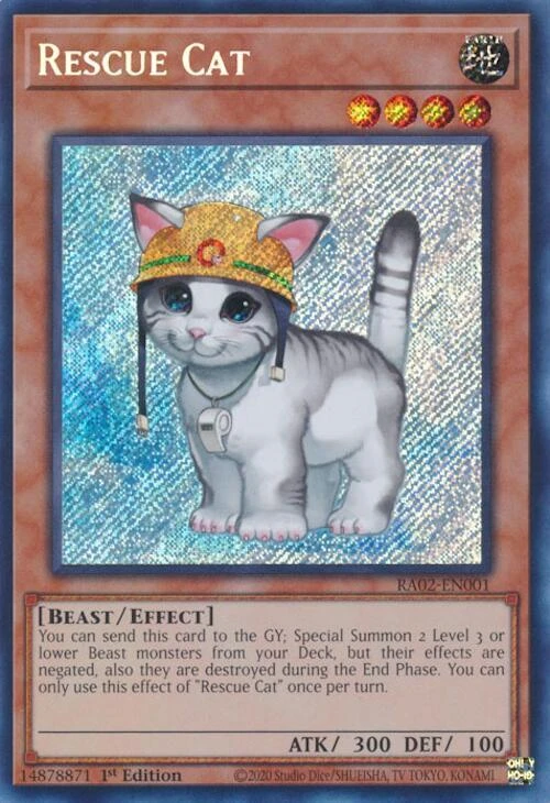 Rescue Cat