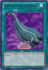 Harpies Feather Duster