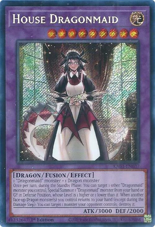 House Dragonmaid
