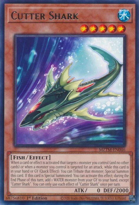 Buzzsaw Shark