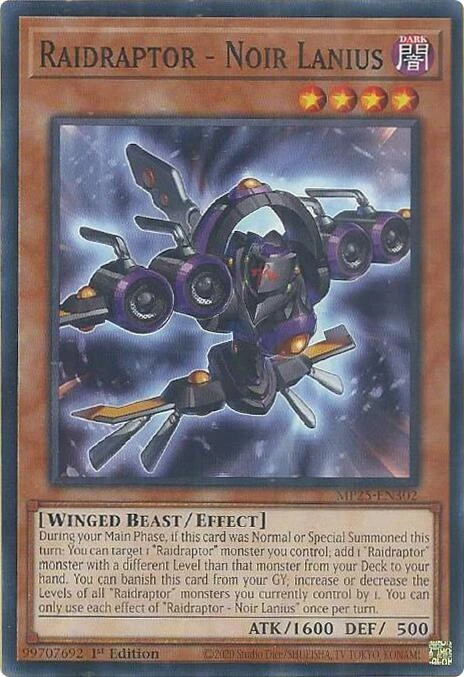 raidraptor noir lanius
