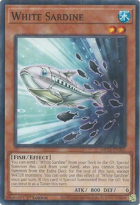 white sardine