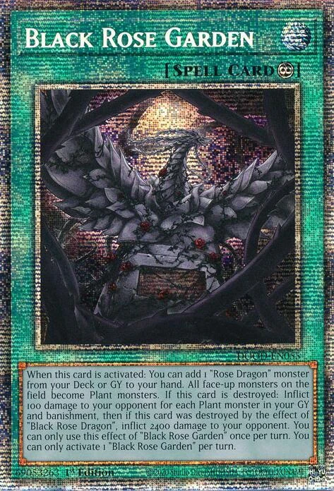 Black Rose Garden
