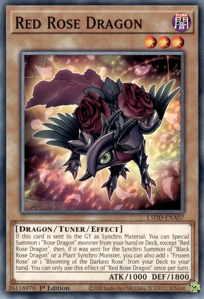 Rose dragon bundle