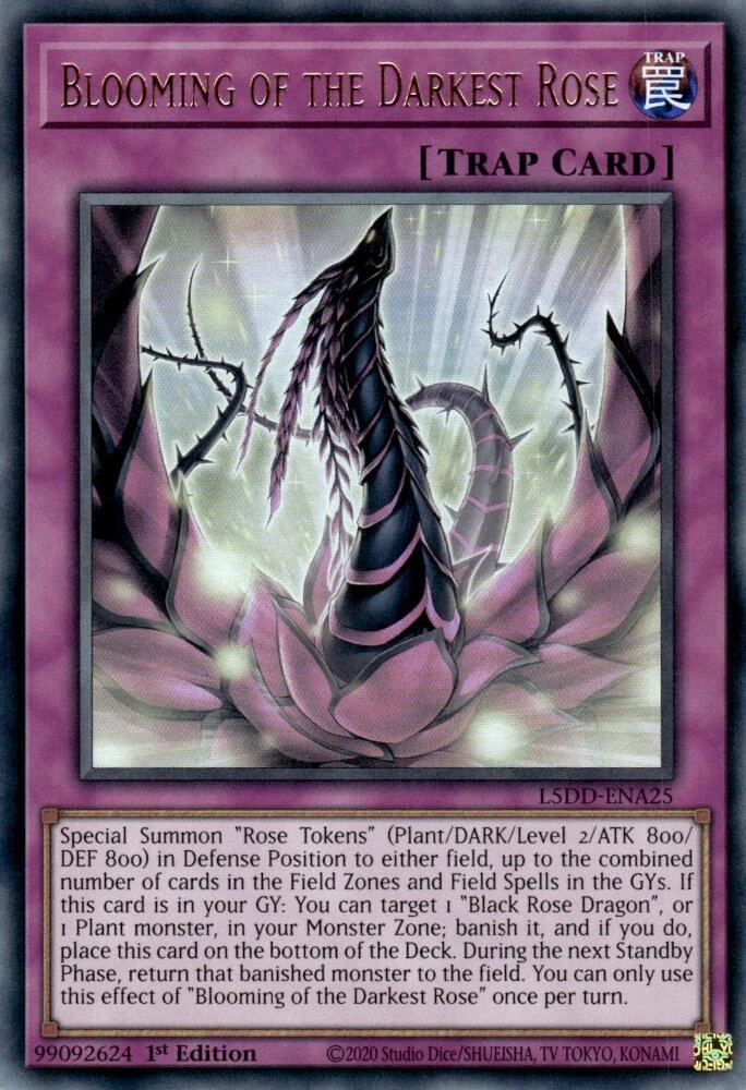 Blooming of the Darkest Rose