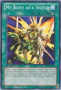 My Body as a Shield