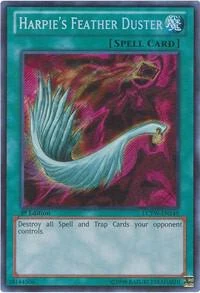 Harpies Feather Duster