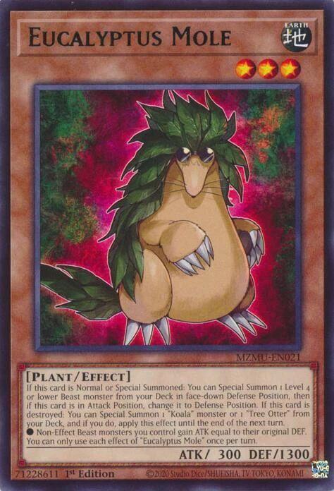 Eucalyptus Mole