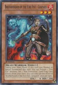 Brotherhood of the Fire Fist Leopard