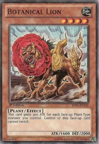 Botanical Lion