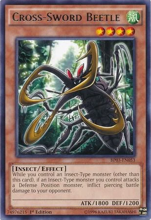 Cross Sword Beetle