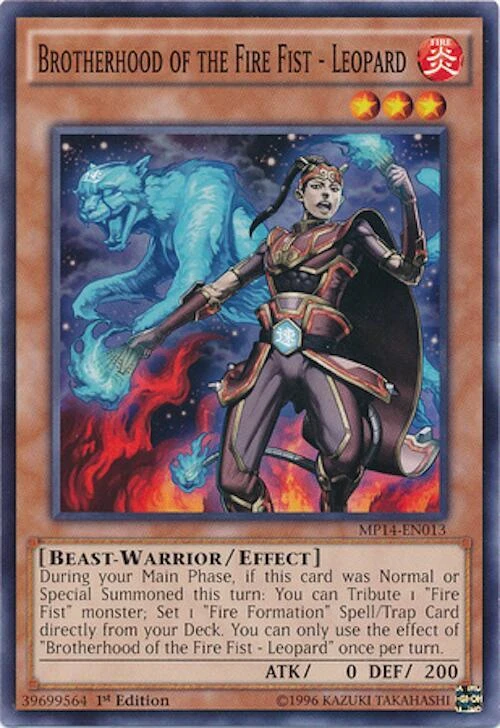 Brotherhood of the Fire Fist Leopard
